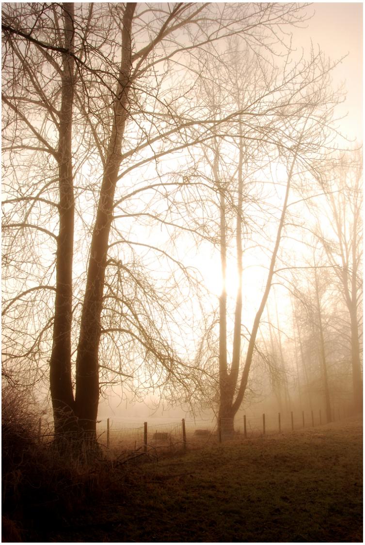 Fog and Fences