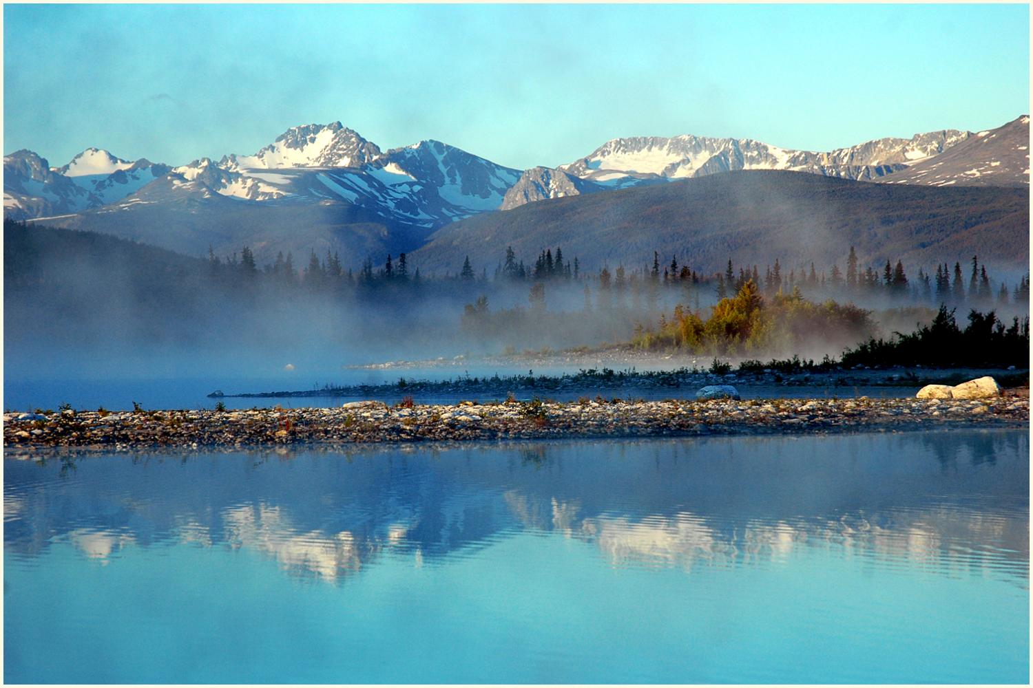 Misty Morning