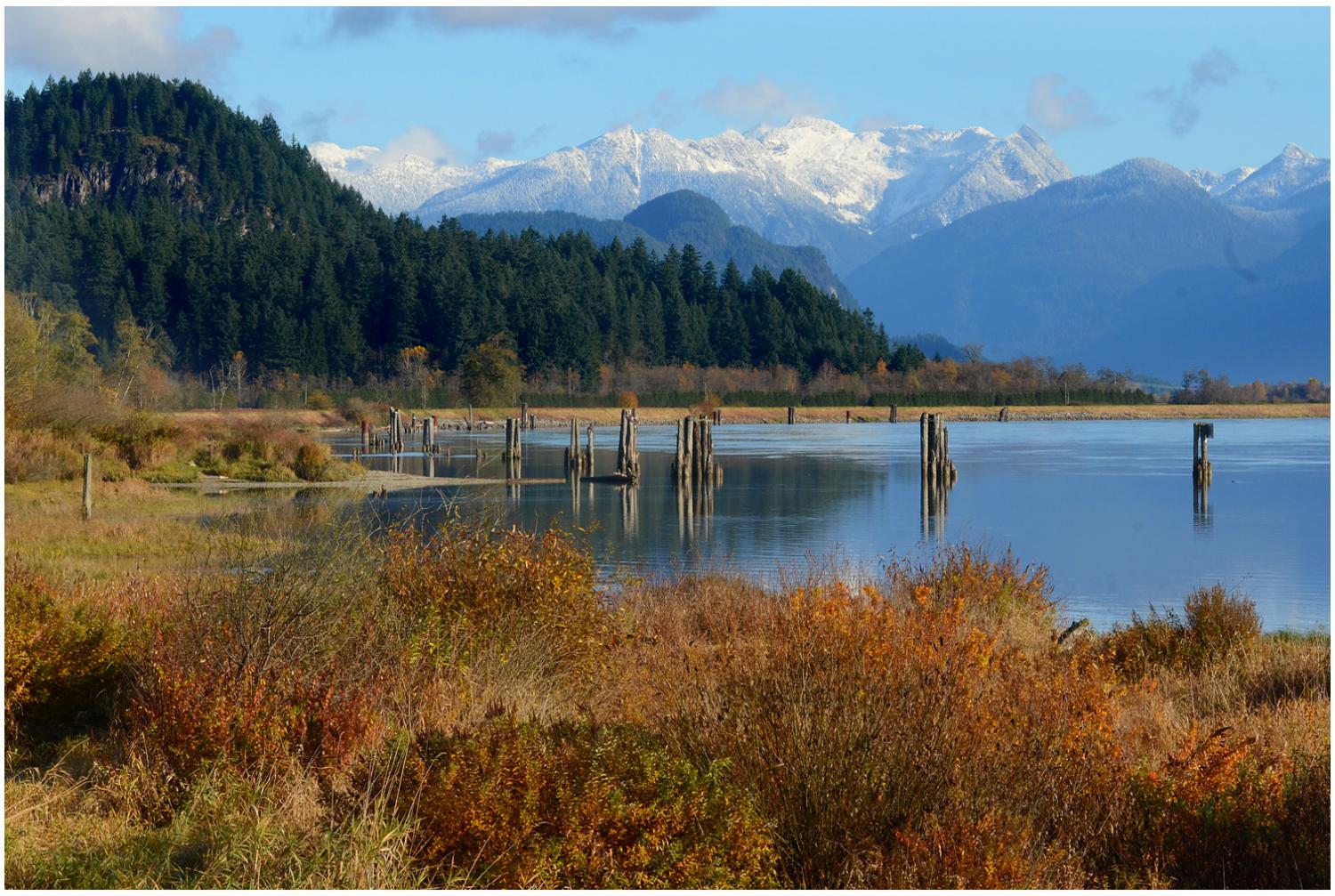 Pitt River Autumn