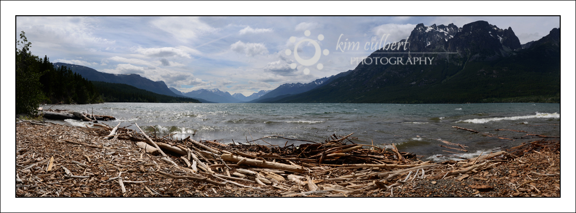 Tatlayoko Driftwood Panorama